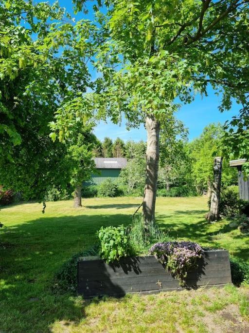 Willkommen In Frifelt Naehe Romo Mit Wunderschoenen Garten Скербек Экстерьер фото